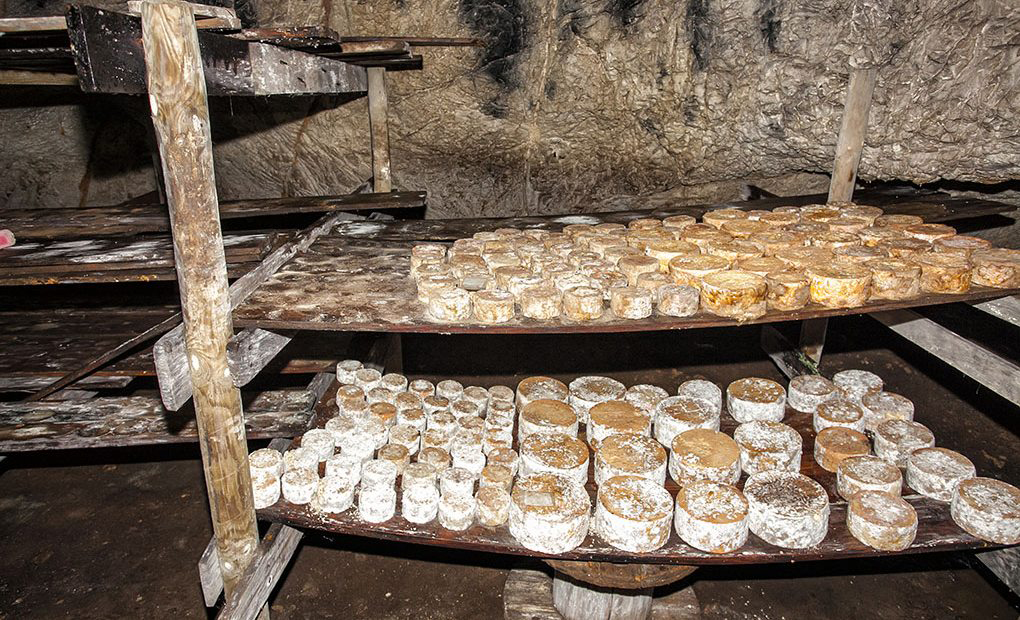 Una quesería tradicional Denominación de Origen Picón de Bejes-Tresviso